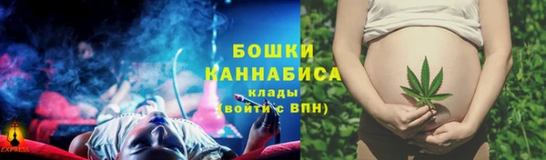 стафф Няндома