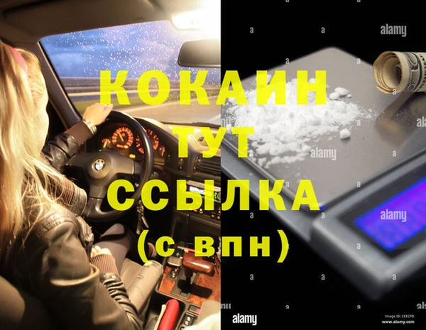 ПСИЛОЦИБИНОВЫЕ ГРИБЫ Дрезна