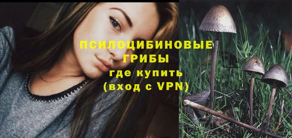 стафф Няндома
