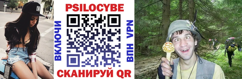 Псилоцибиновые грибы Psilocybe  сайты даркнета Telegram  Нижняя Салда 